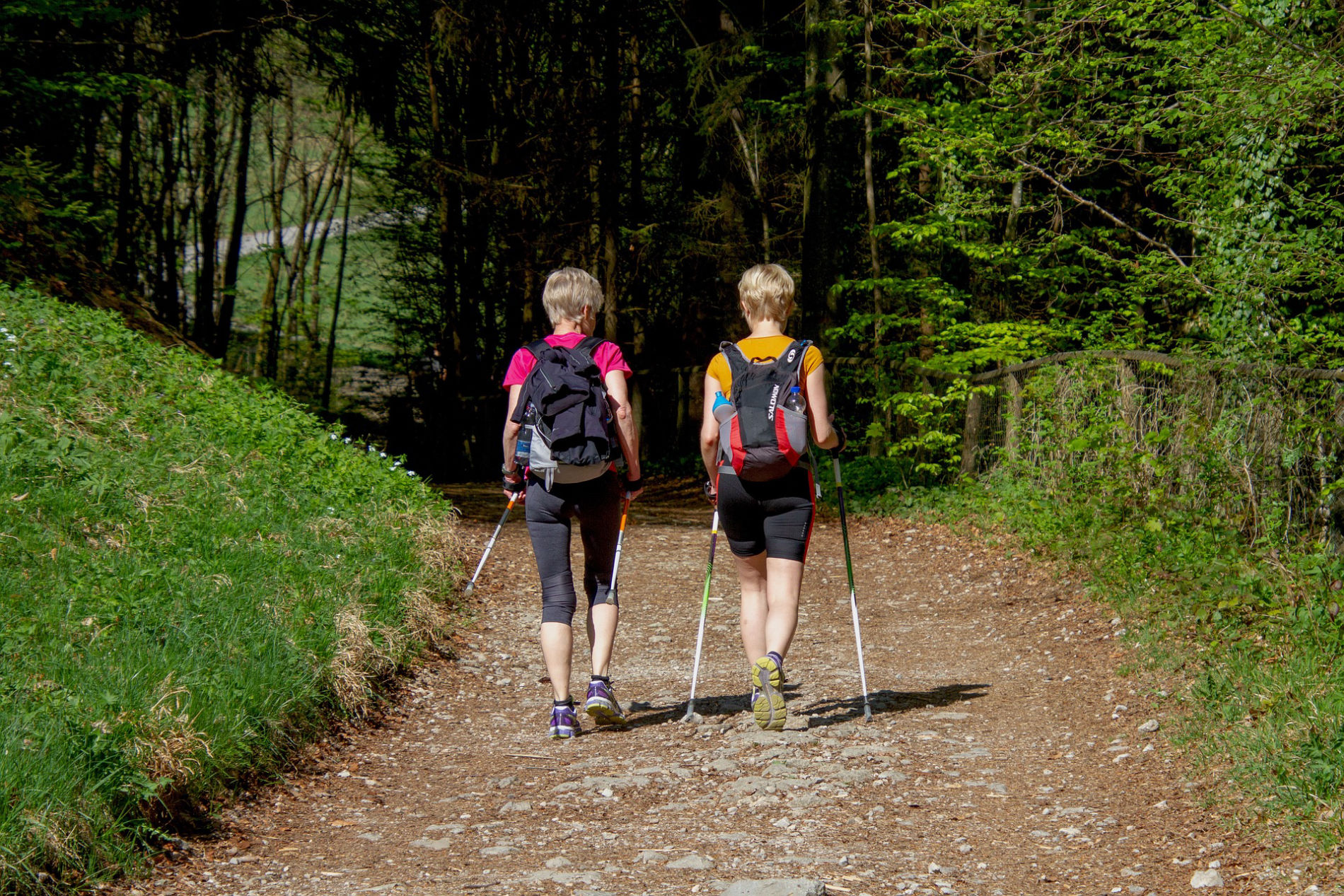 https://nordic-walking-norderstedt.de/wissenswertes.html